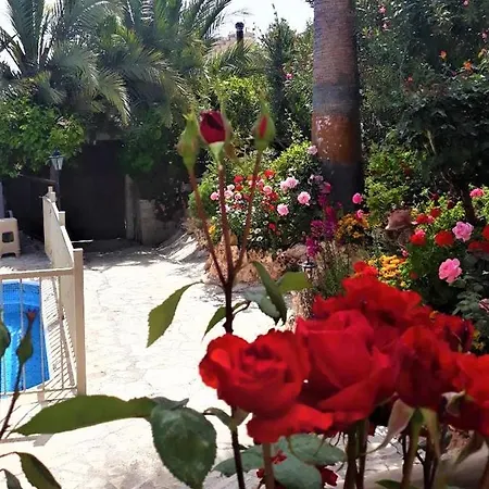 Rose Garden * Peristerona