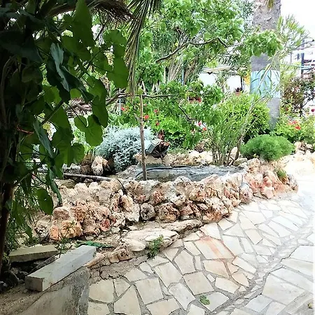 Rose Garden *