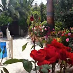 Rose Garden * Peristerona (Paphos)