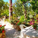 Prázdninový dům Rose Garden Peristerona (Paphos)