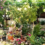 بيت للعطل Rose Garden *