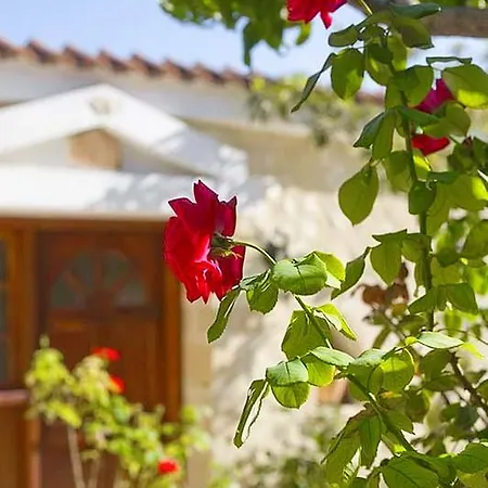 בית נופש Rose Garden