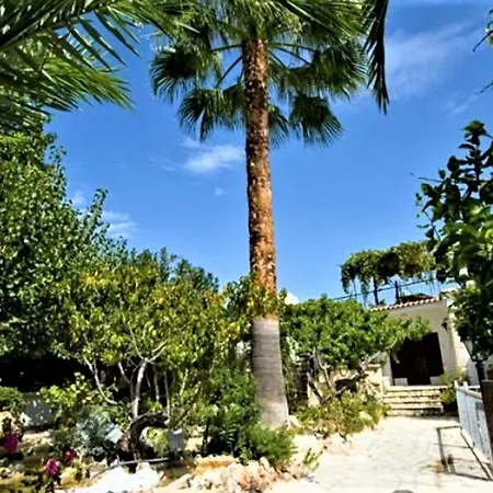 Rose Garden * Peristerona (Paphos)