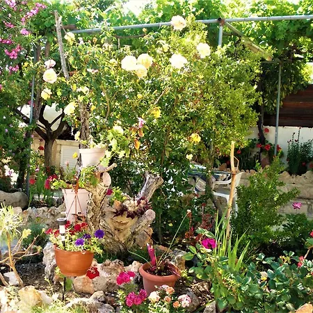 Vakantiehuis Rose Garden *