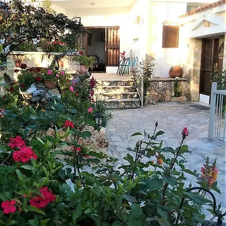 Rose Garden