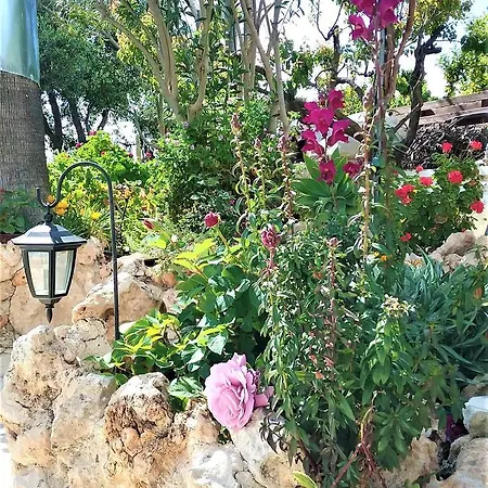 בית נופש Rose Garden *