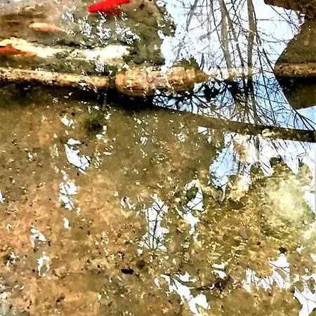 Vakantiehuis Rose Garden Peristerona (Paphos)