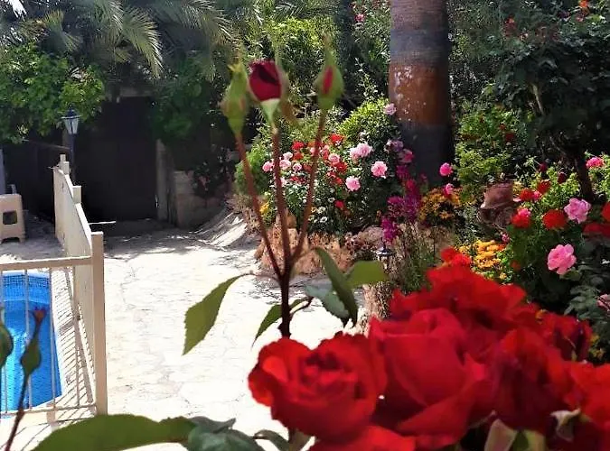 Rose Garden * Peristerona