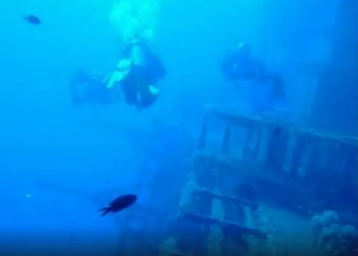 Semesterbostad Rose Garden