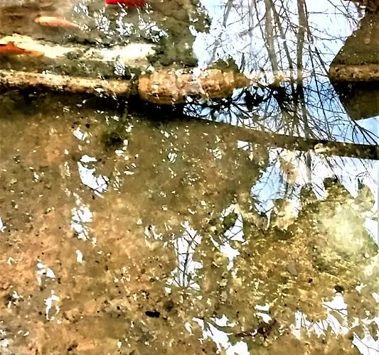 Semesterbostad Rose Garden Peristerona (Paphos)